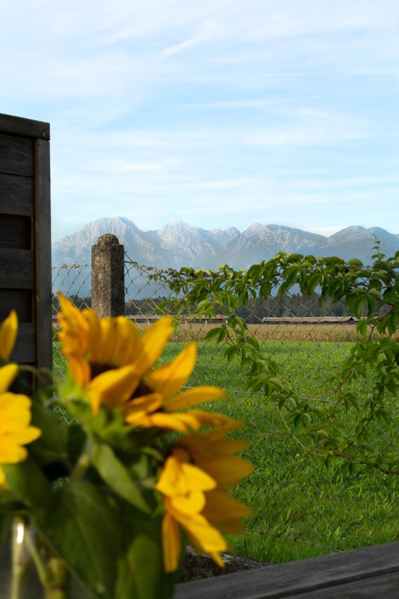 Villa Glamping With A View Smlednik Exterior foto